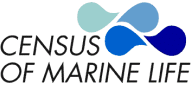 logo census